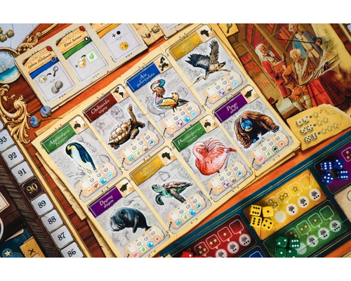 Encyclopedia (KS Naturalist Edition)